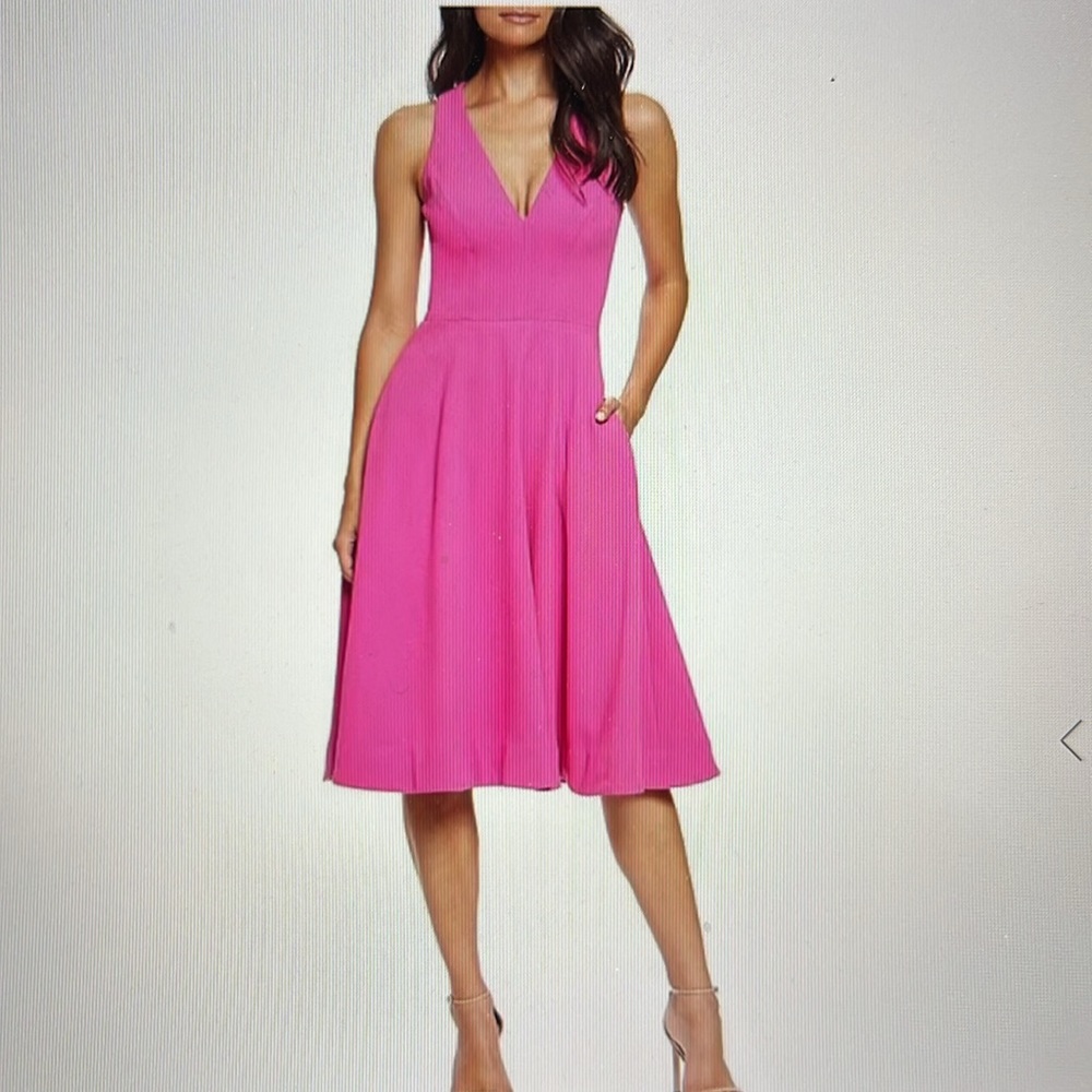 NWT Dress the Population Catalina Sleeveless Fit and Flare Dress Size XS
